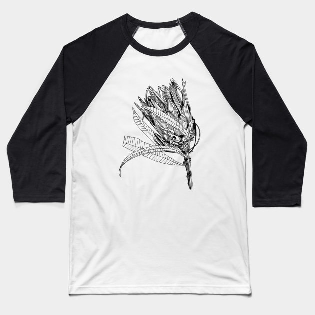 Protea leaning scientific nature black ink pen drawing illustration Baseball T-Shirt by DamiansART